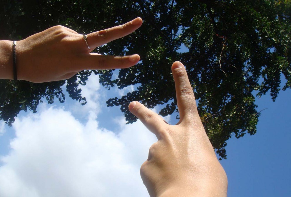 Imatge il·lustrativa