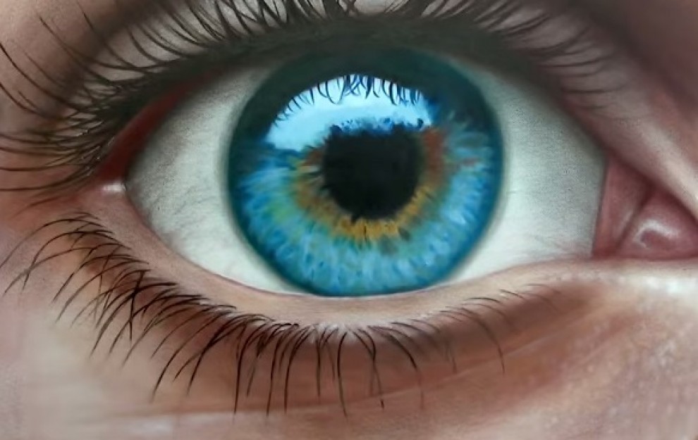 Imatge il·lustrativa