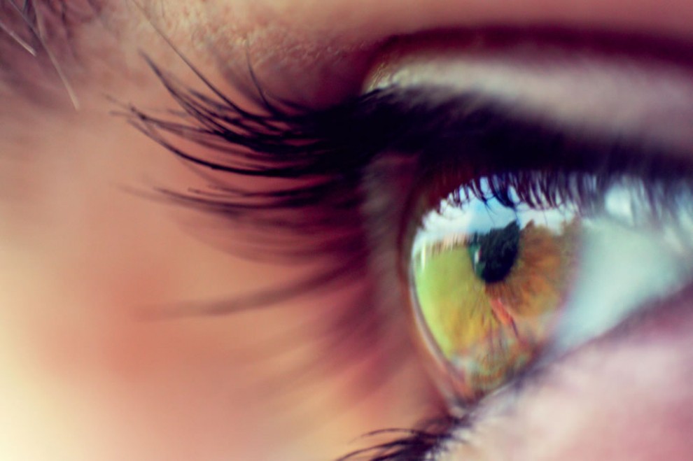 Imatge il·lustrativa