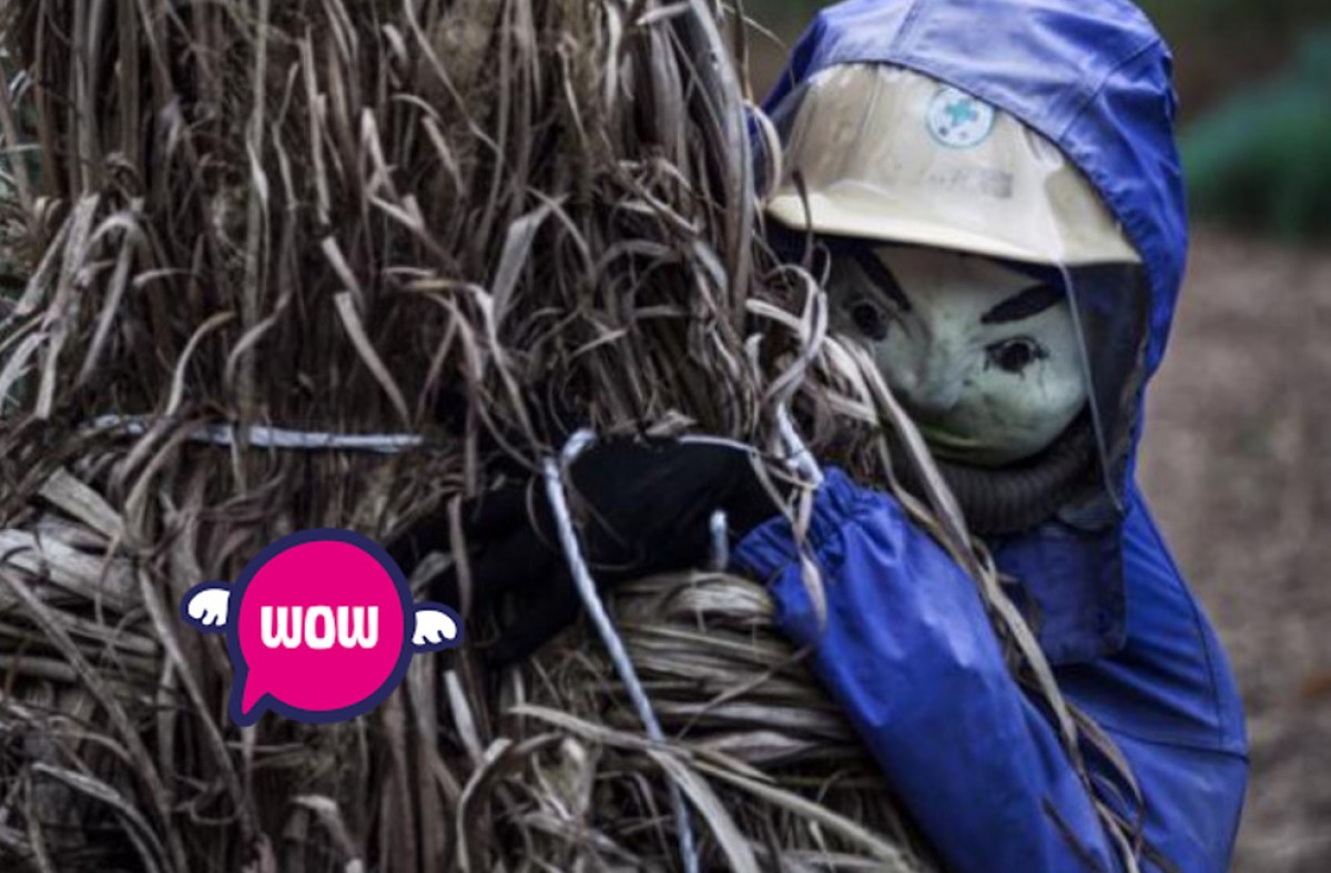 Imatge il·lustrativa