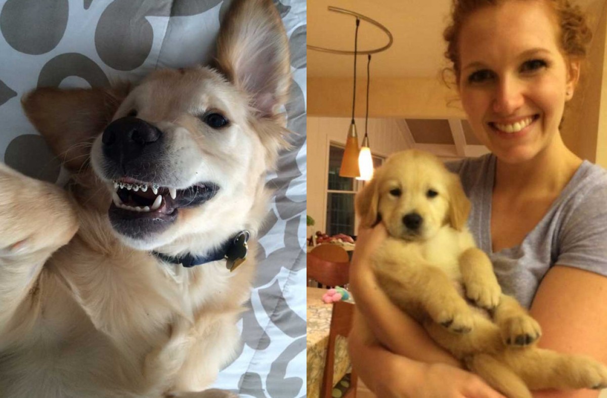 Imatge il·lustrativa