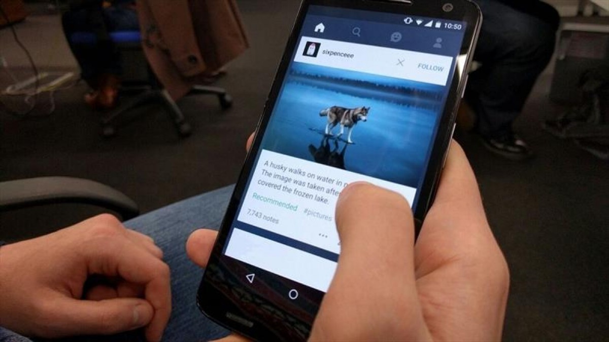 Imatge il·lustrativa