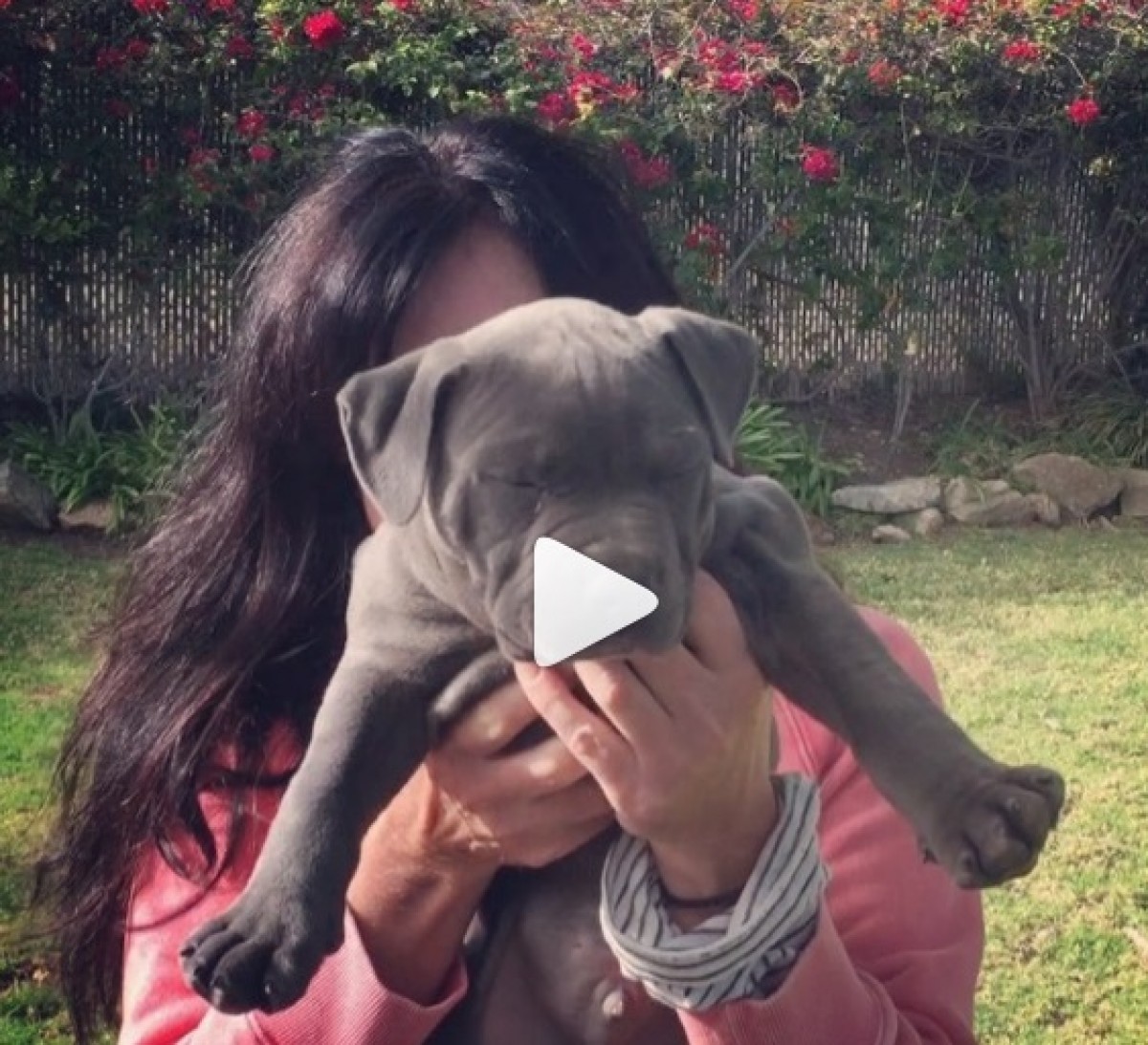 Imatge il·lustrativa