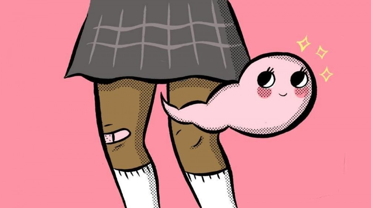 Imatge il·lustrativa