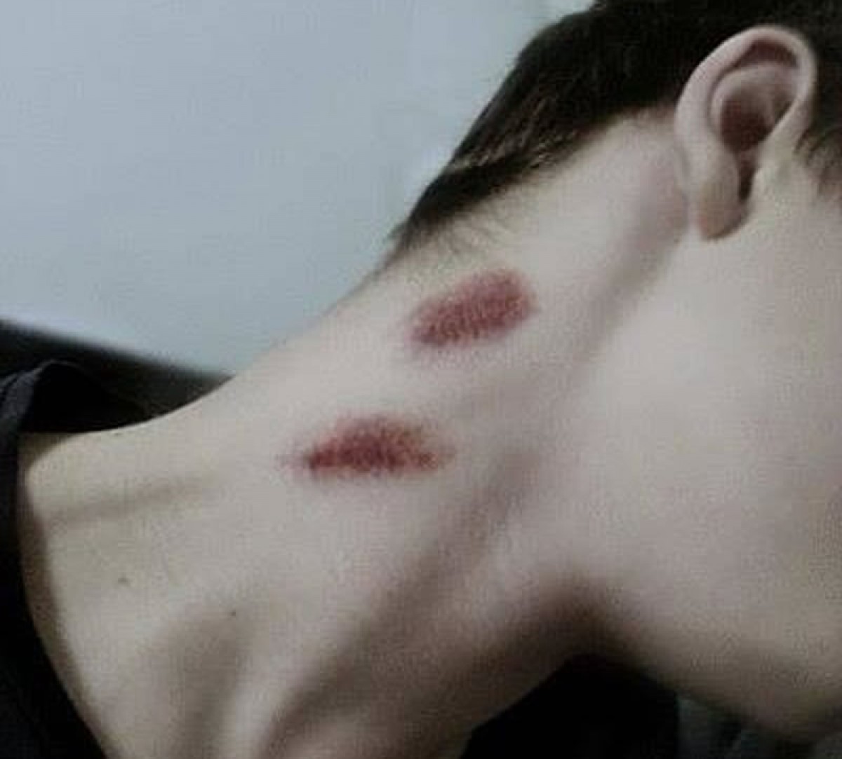 Imatge il·lustrativa