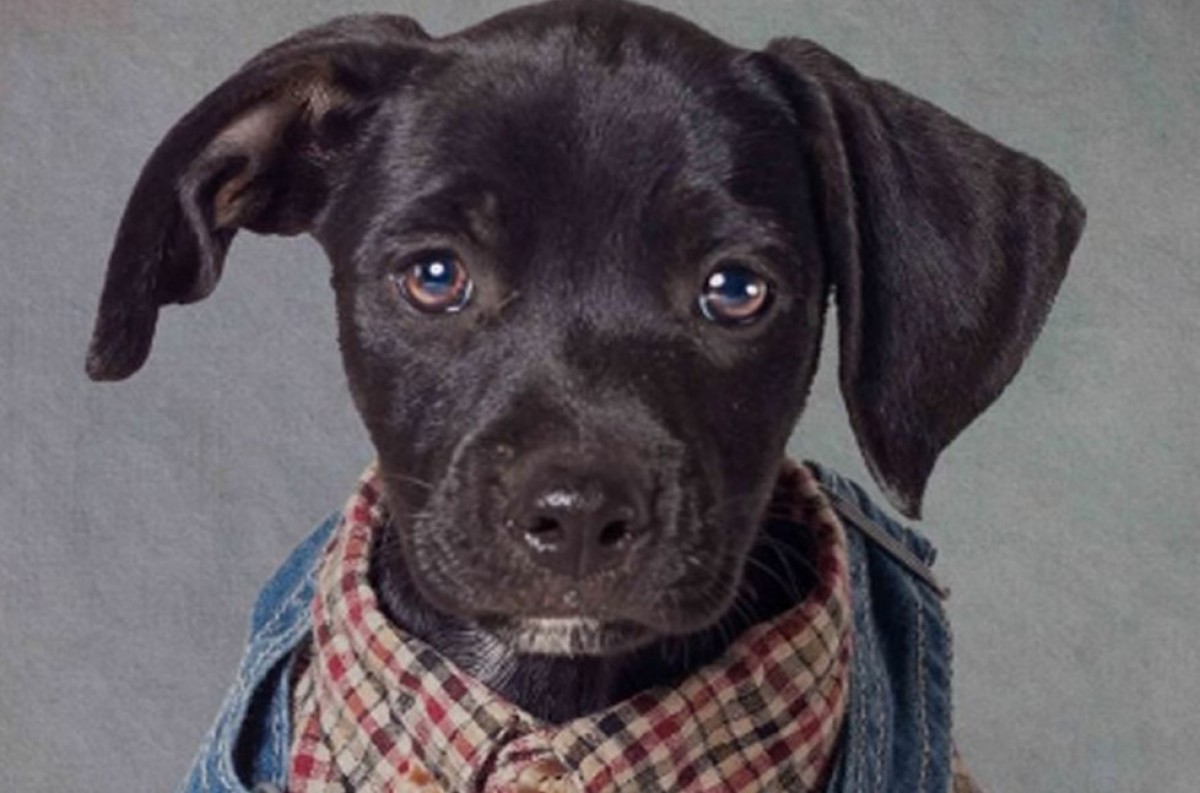 Imatge il·lustrativa