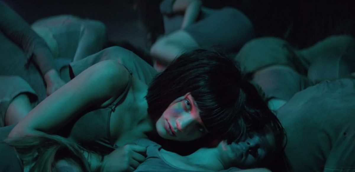 Imatge il·lustrativa