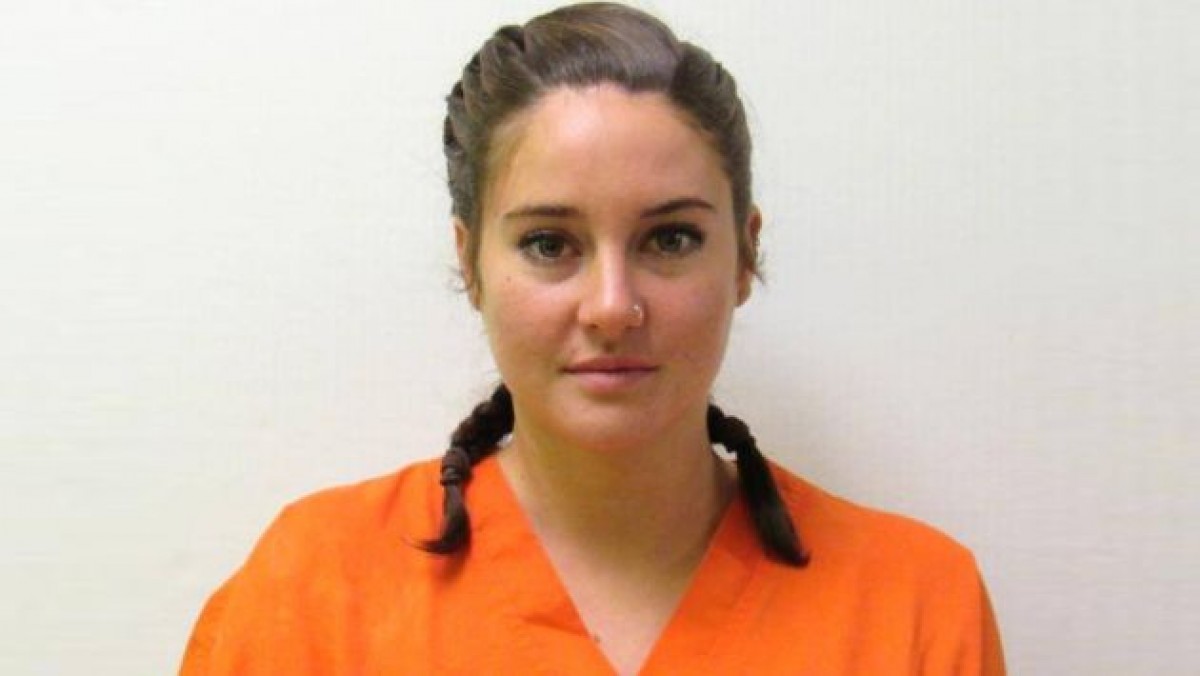 Imatge il·lustrativa