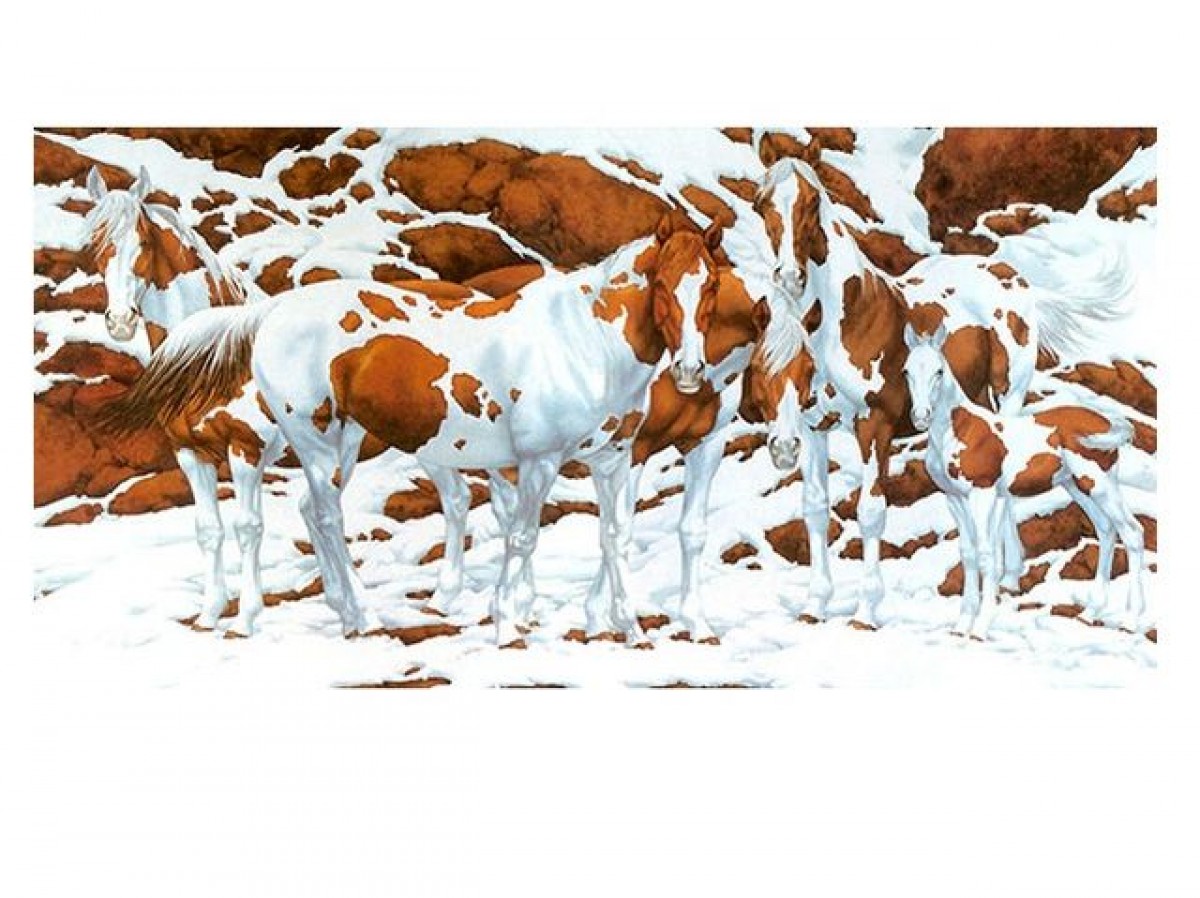 Imatge il·lustrativa