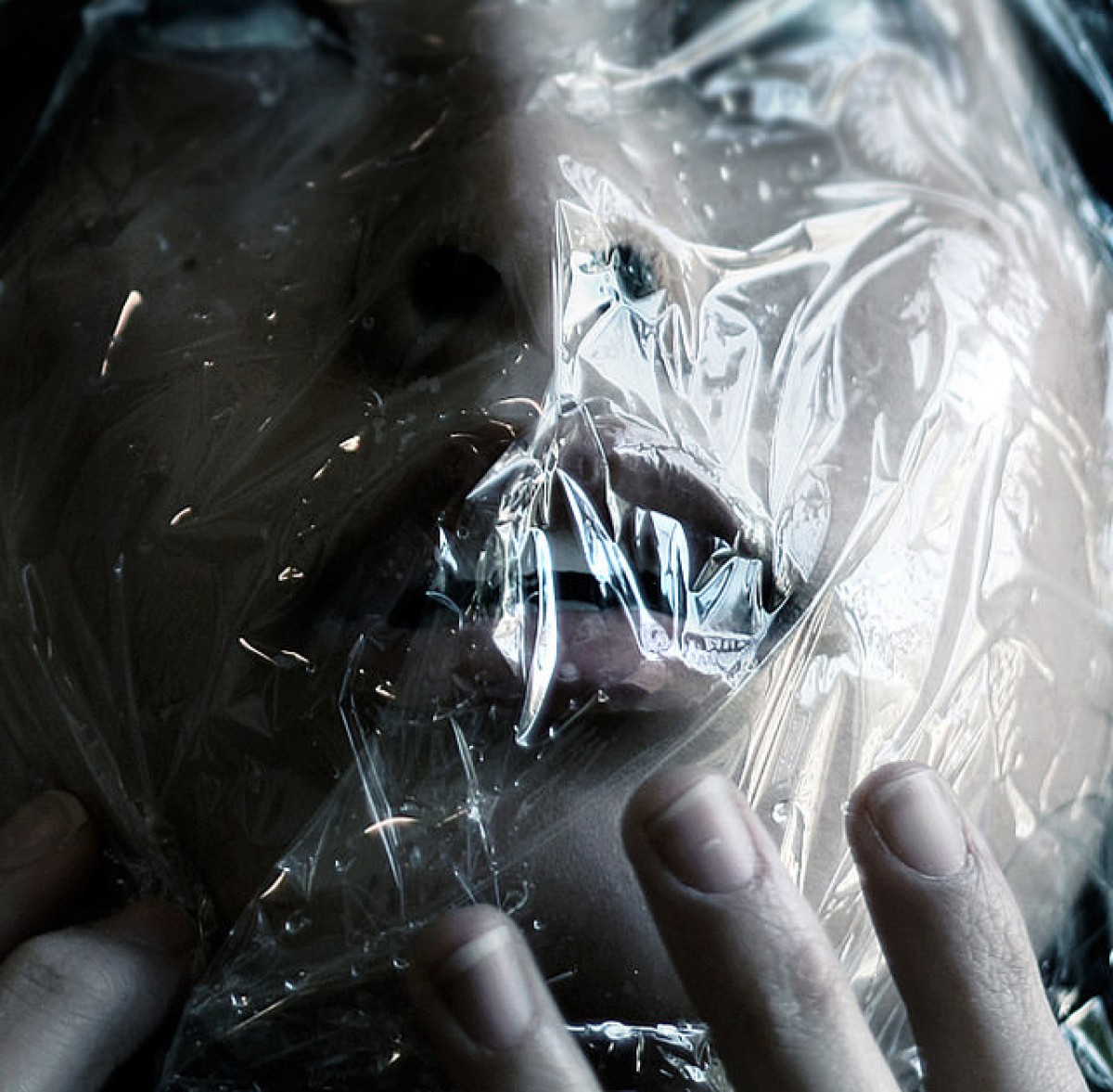 Imatge il·lustrativa