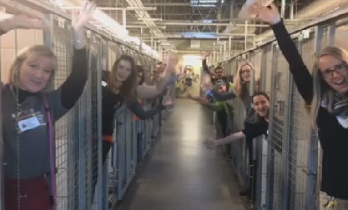 Imatge il·lustrativa