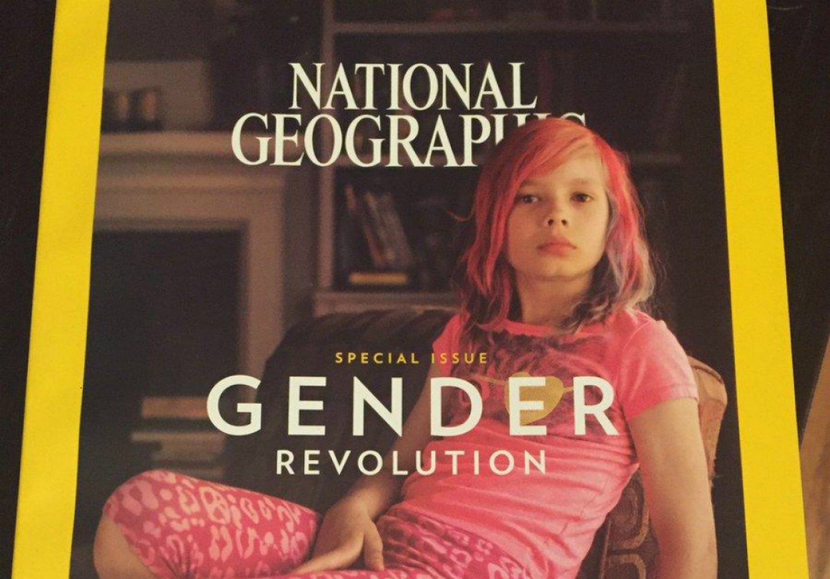 Imatge il·lustrativa