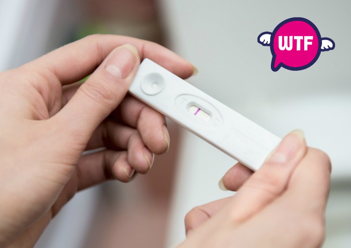 Imatge il·lustrativa