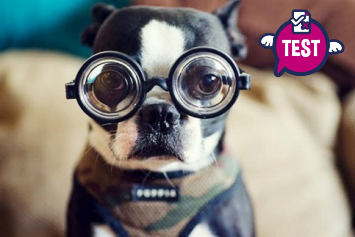 Imatge il·lustrativa