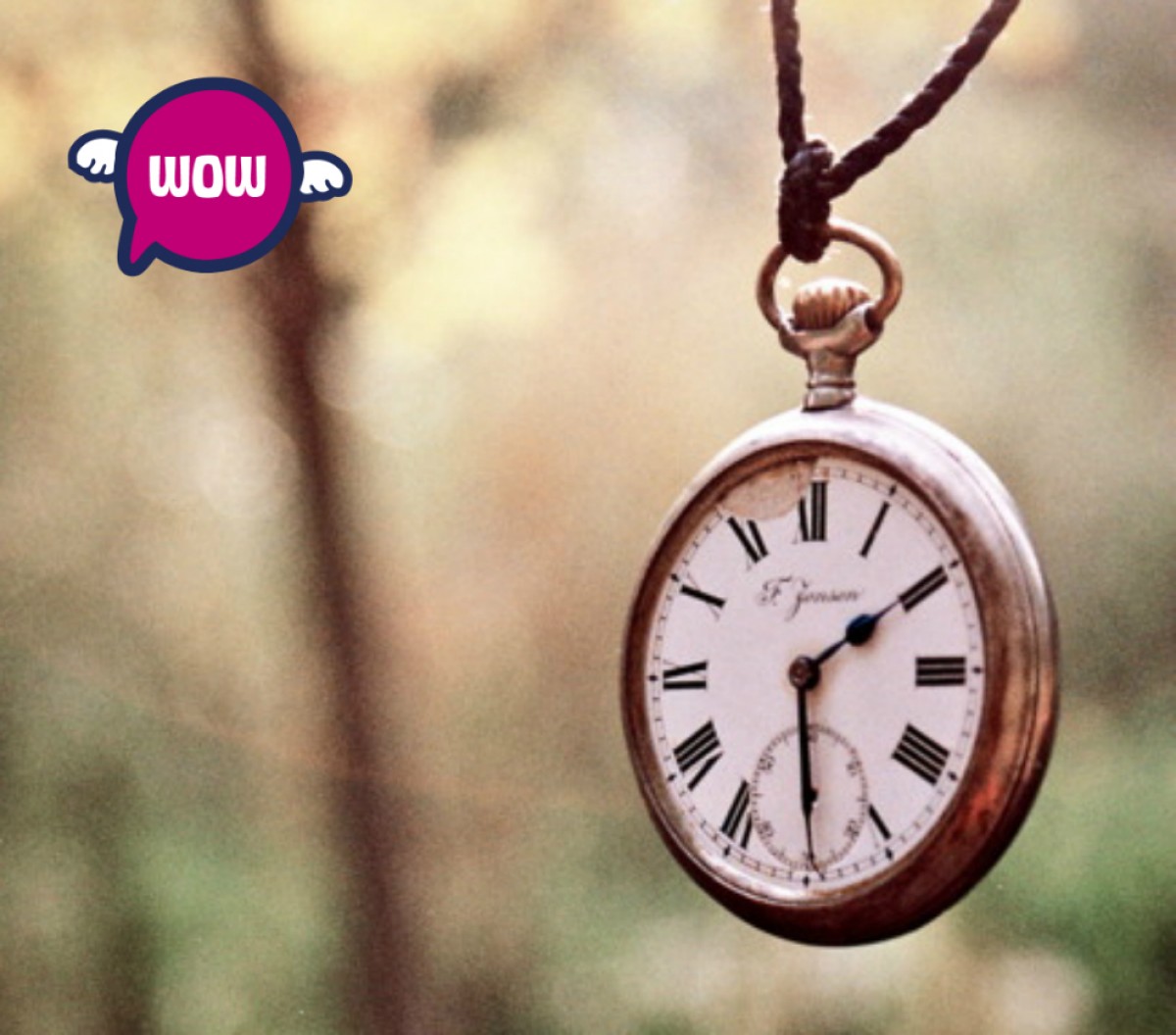 Imatge il·lustrativa