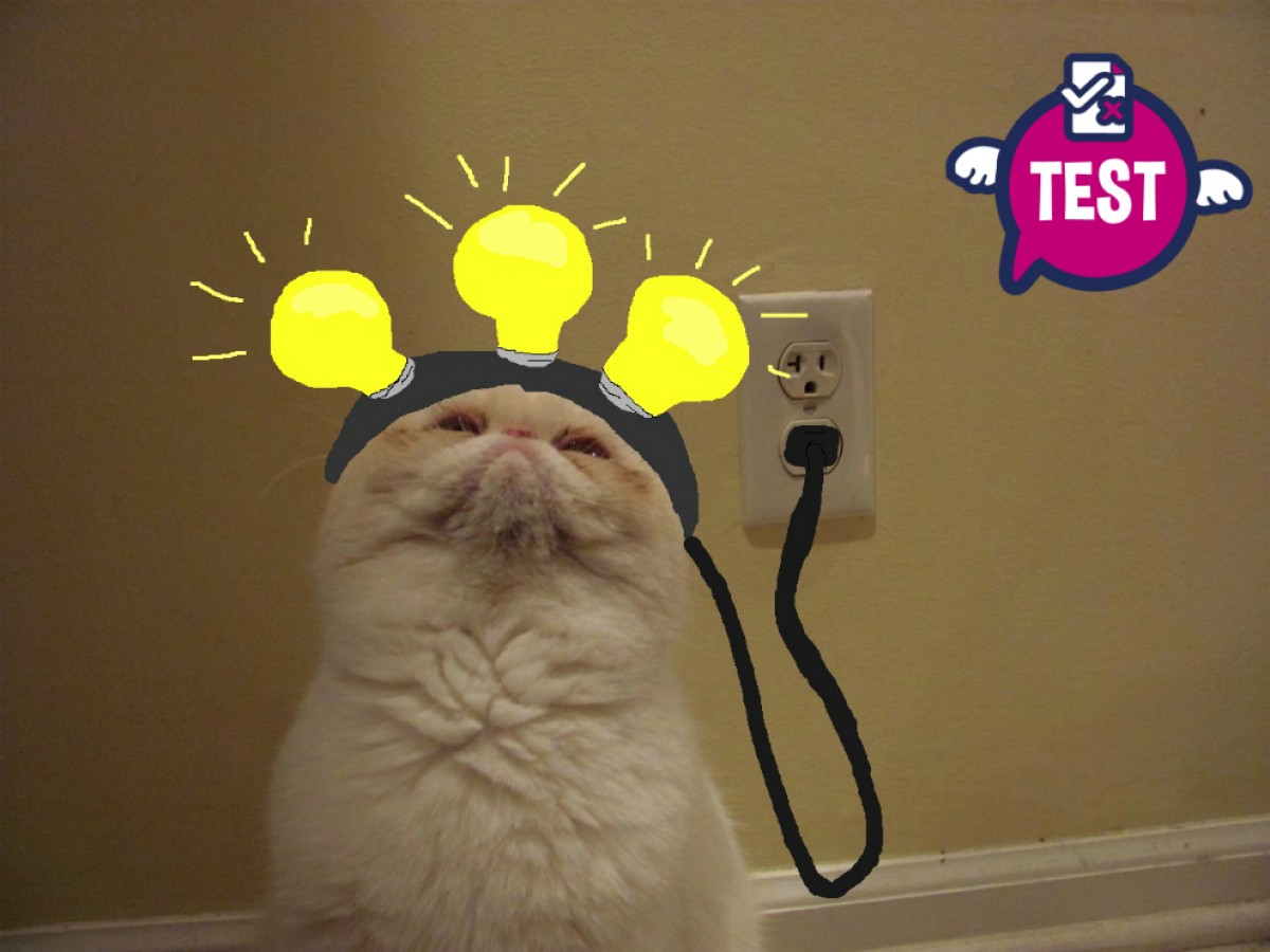 Imatge il·lustrativa