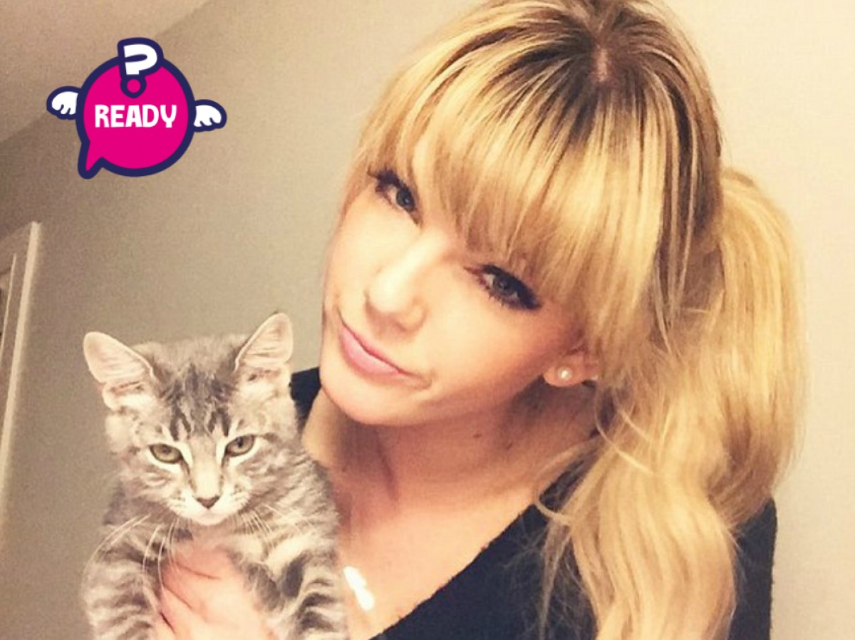 Imatge il·lustrativa