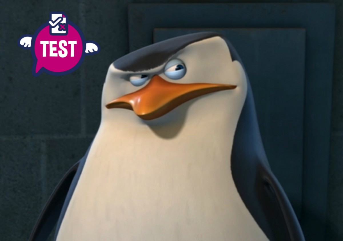 Imatge il·lustrativa