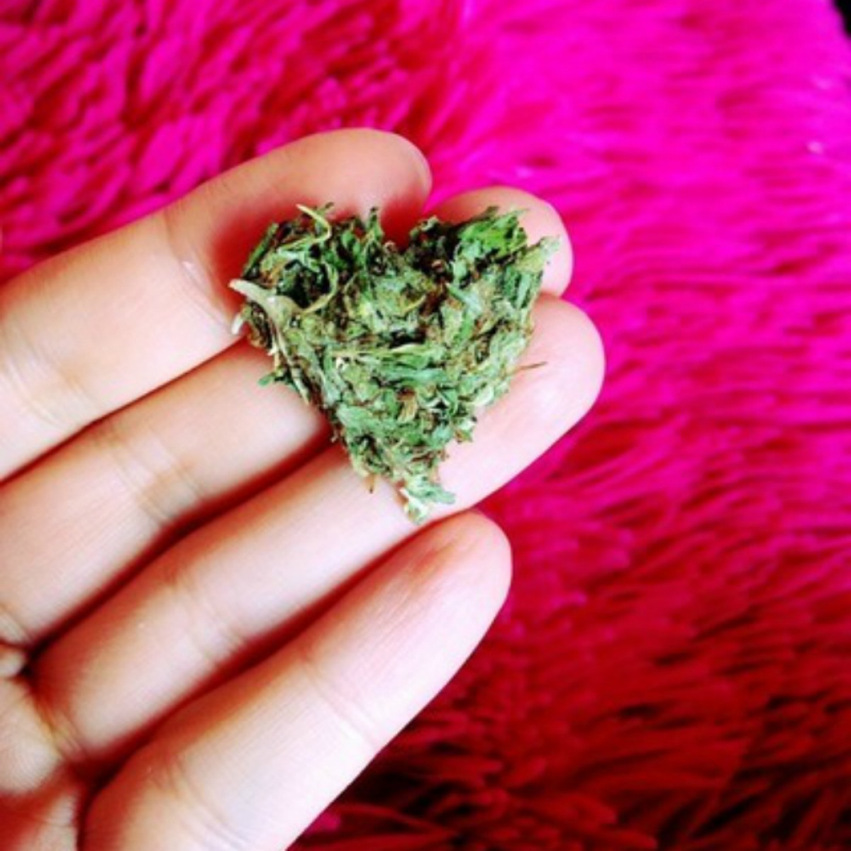 Imatge il·lustrativa