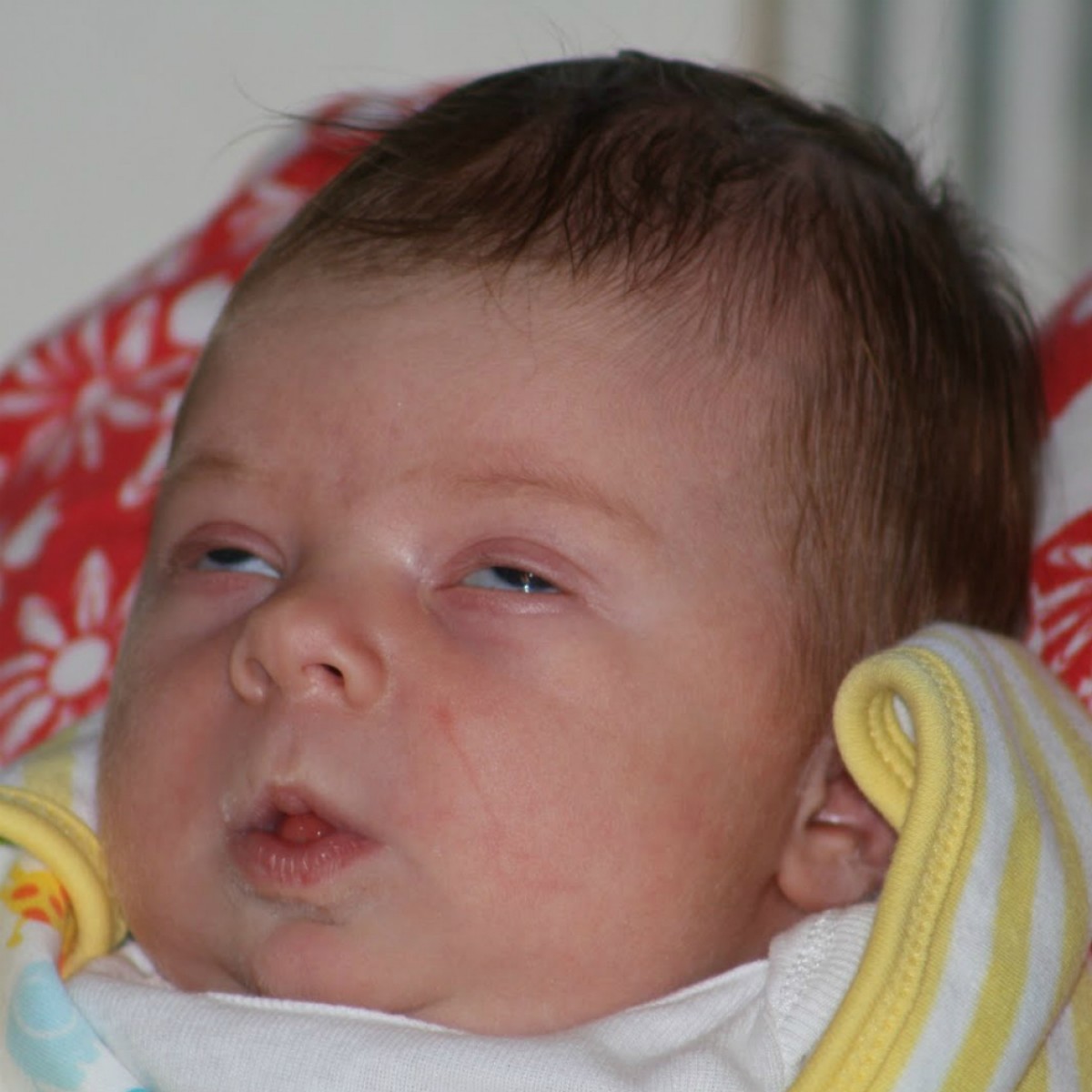 Imatge il·lustrativa