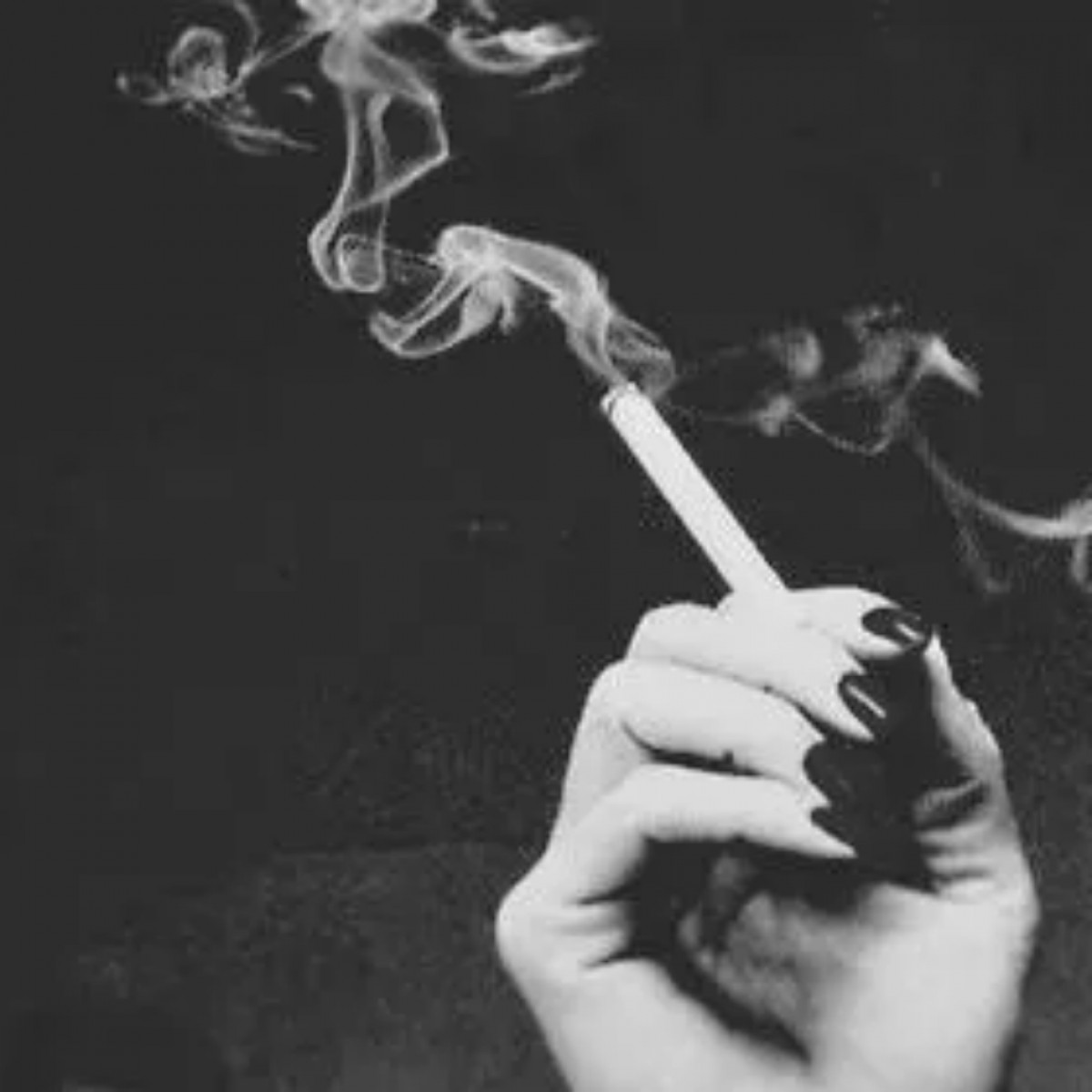 Imatge il·lustrativa