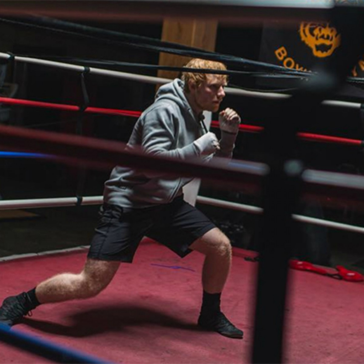 Imatge il·lustrativa