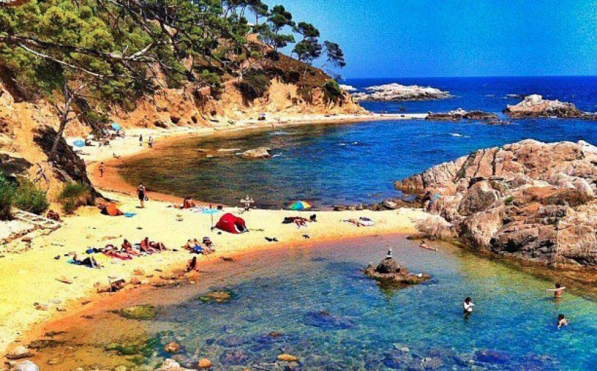 Imatge il·lustrativa