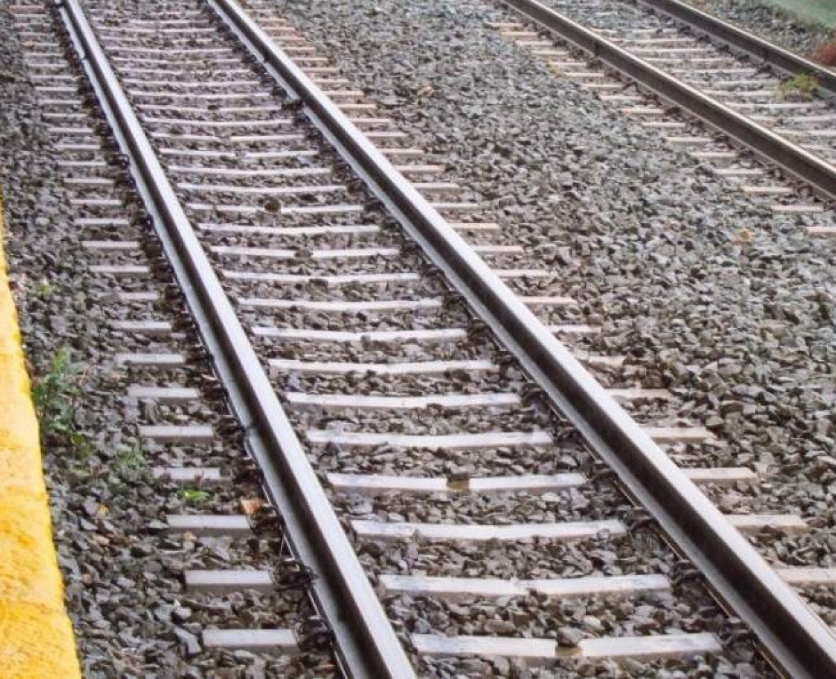 Imatge il·lustrativa