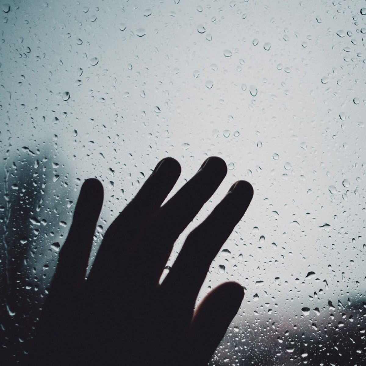 Imatge il·lustrativa