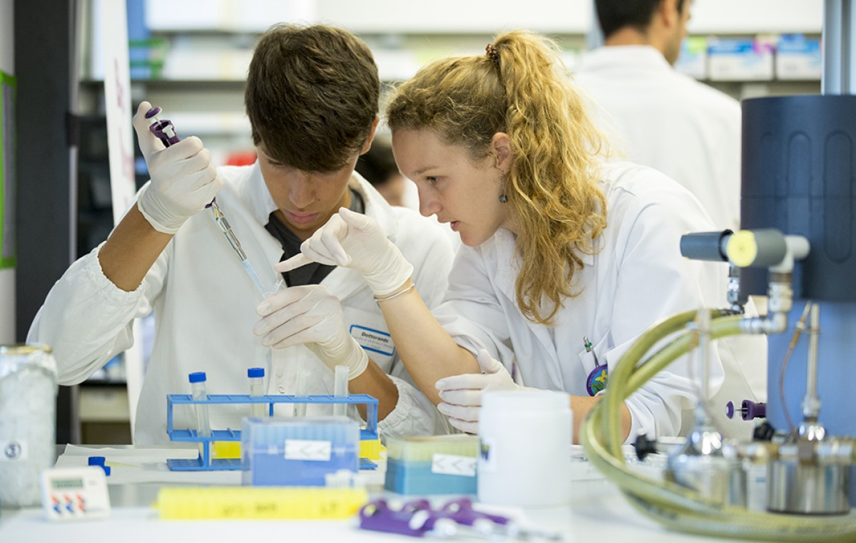 Imatge il·lustrativa