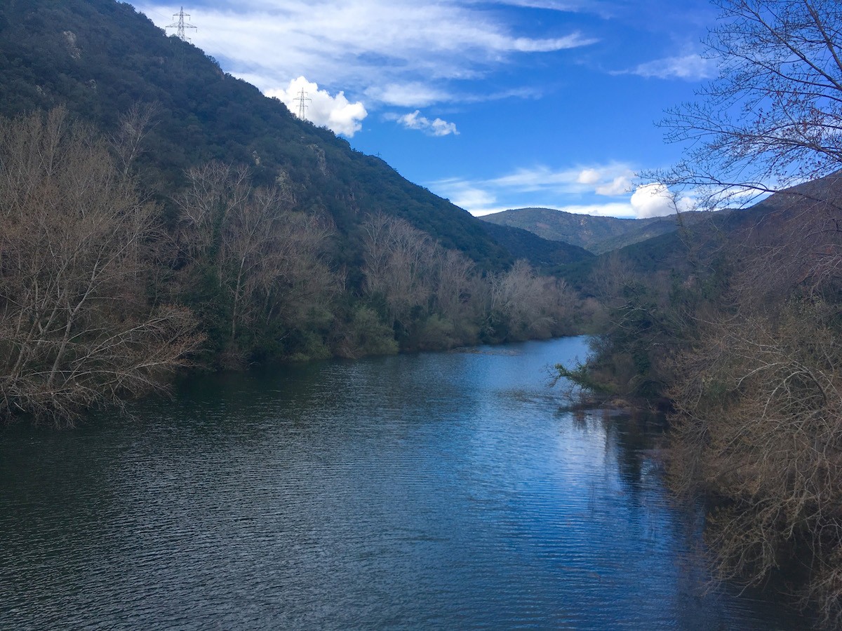 Imatge il·lustrativa