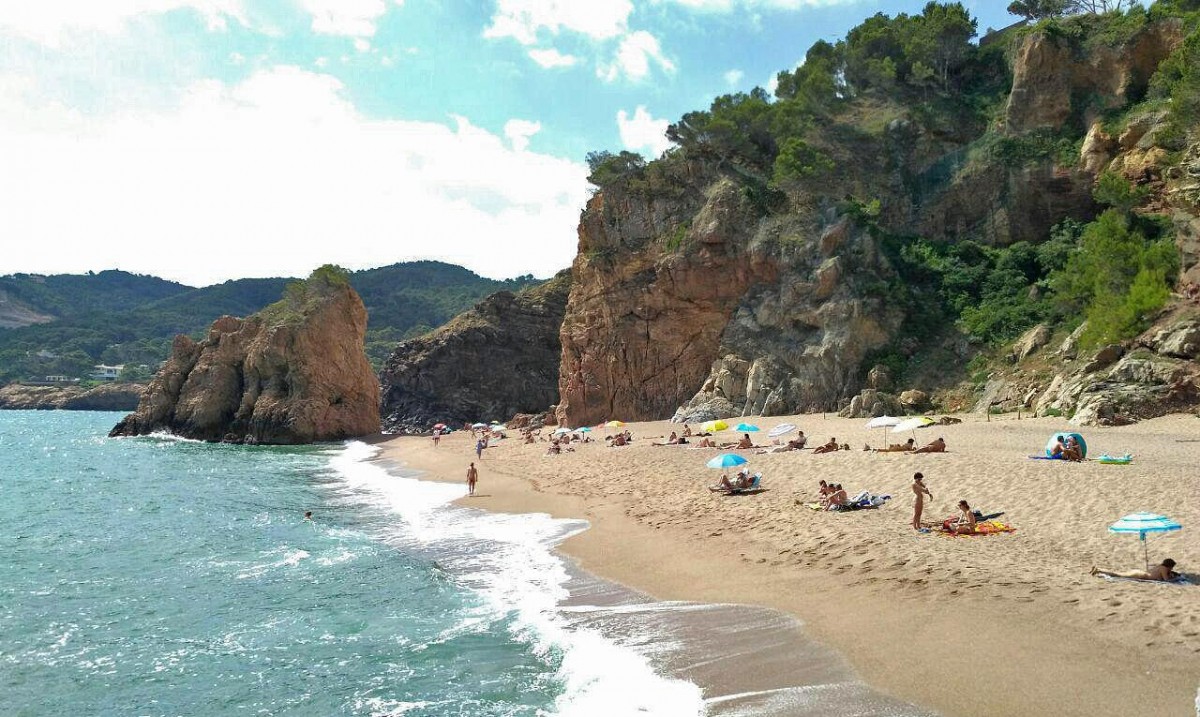 Imatge il·lustrativa