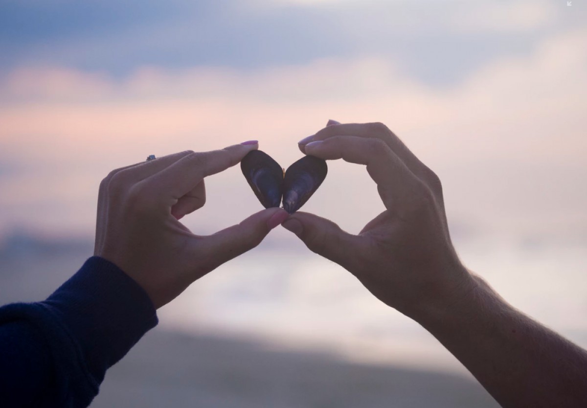 Imatge il·lustrativa