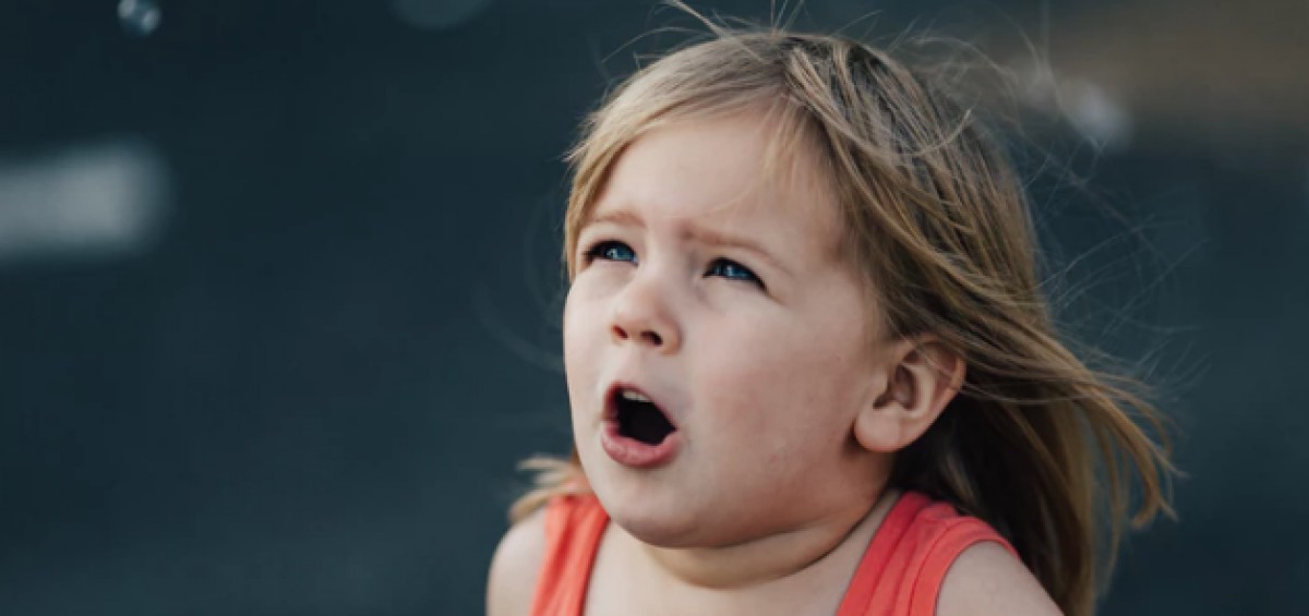 Imatge il·lustrativa