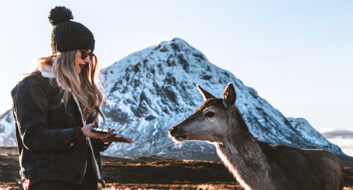 Imatge il·lustrativa