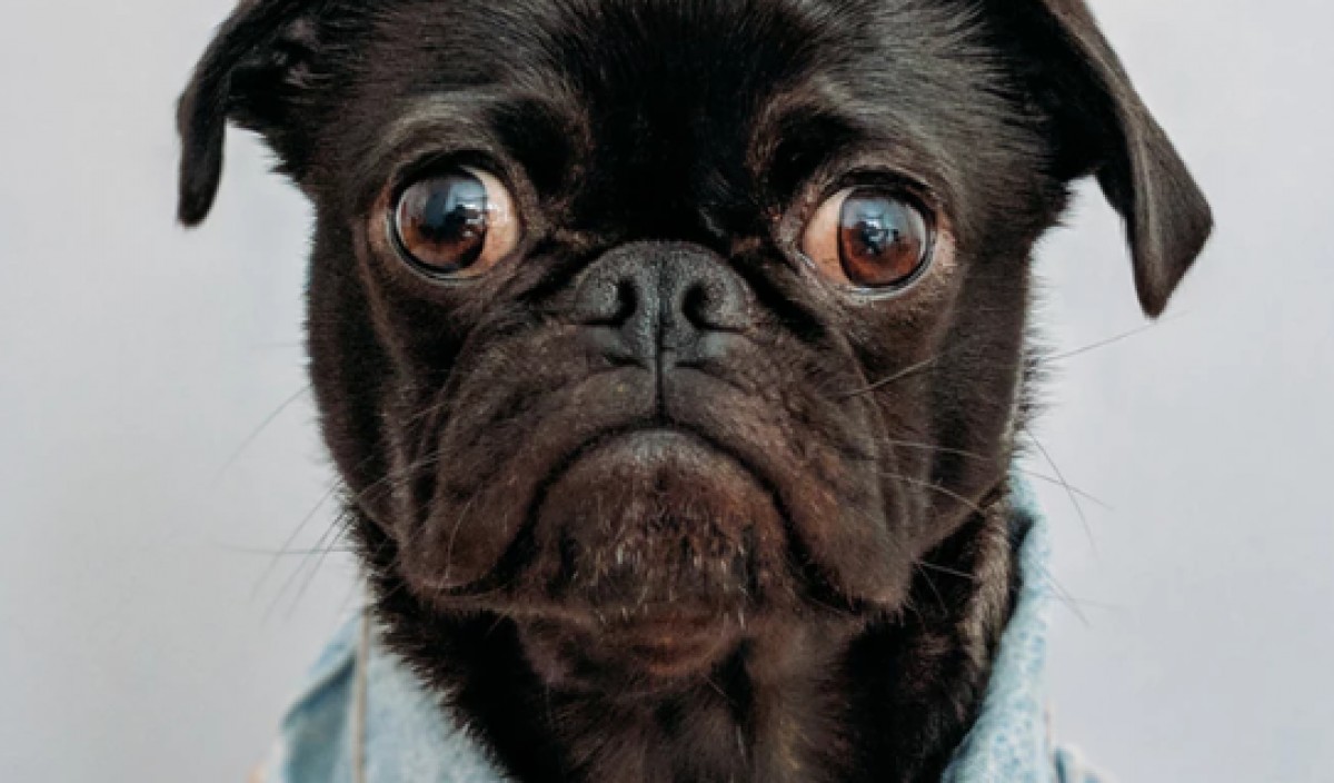 Imatge il·lustrativa