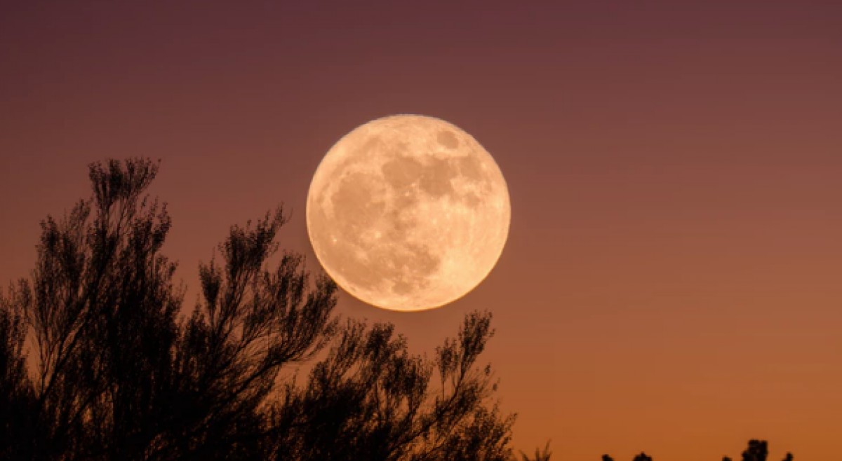 Imatge il·lustrativa