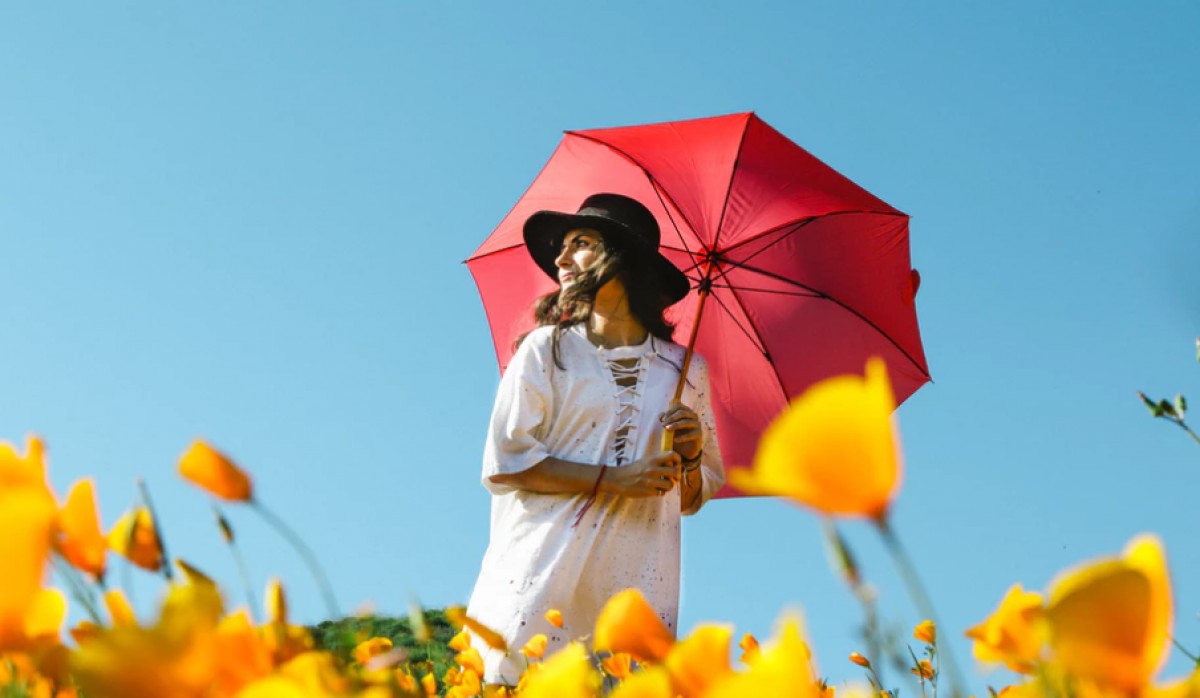 Imatge il·lustrativa