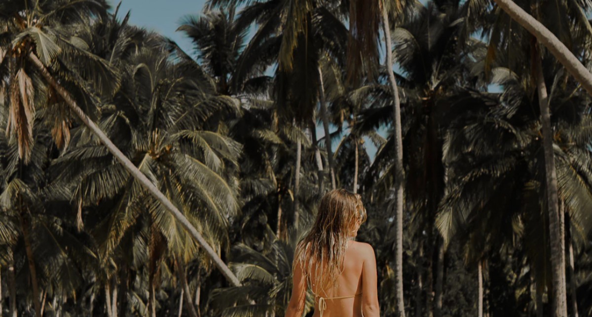 Imatge il·lustrativa