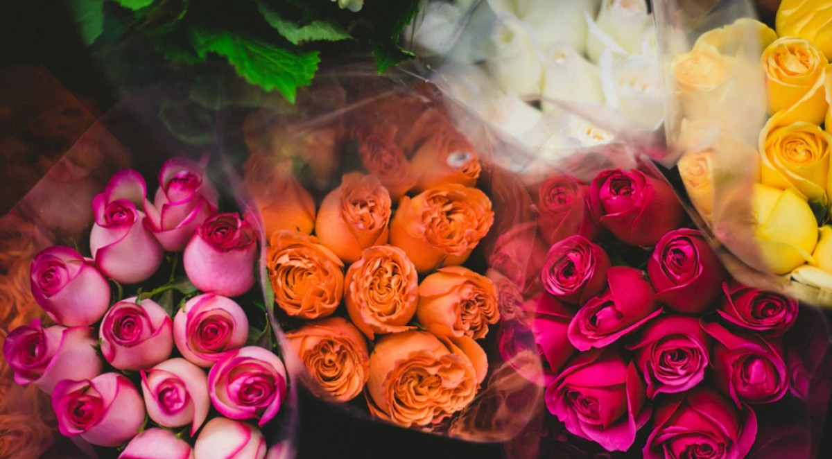 Imatge il·lustrativa