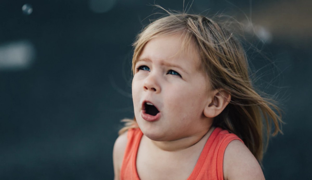 Imatge il·lustrativa