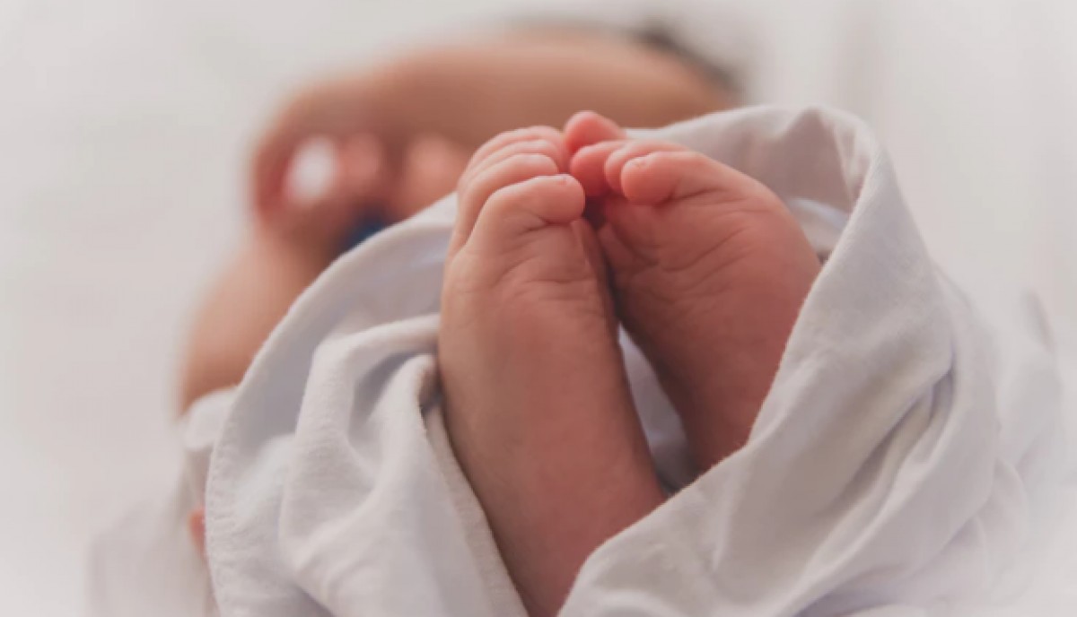 Imatge il·lustrativa