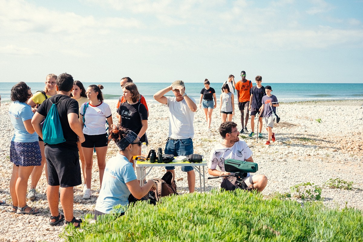 Imatge il·lustrativa