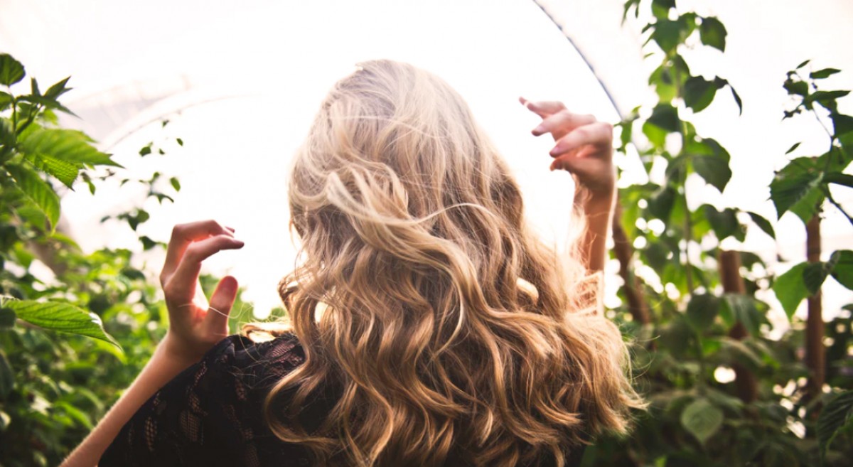 Imatge il·lustrativa