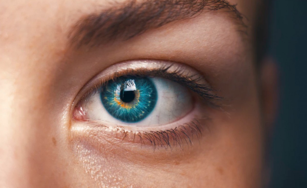 Imatge il·lustrativa