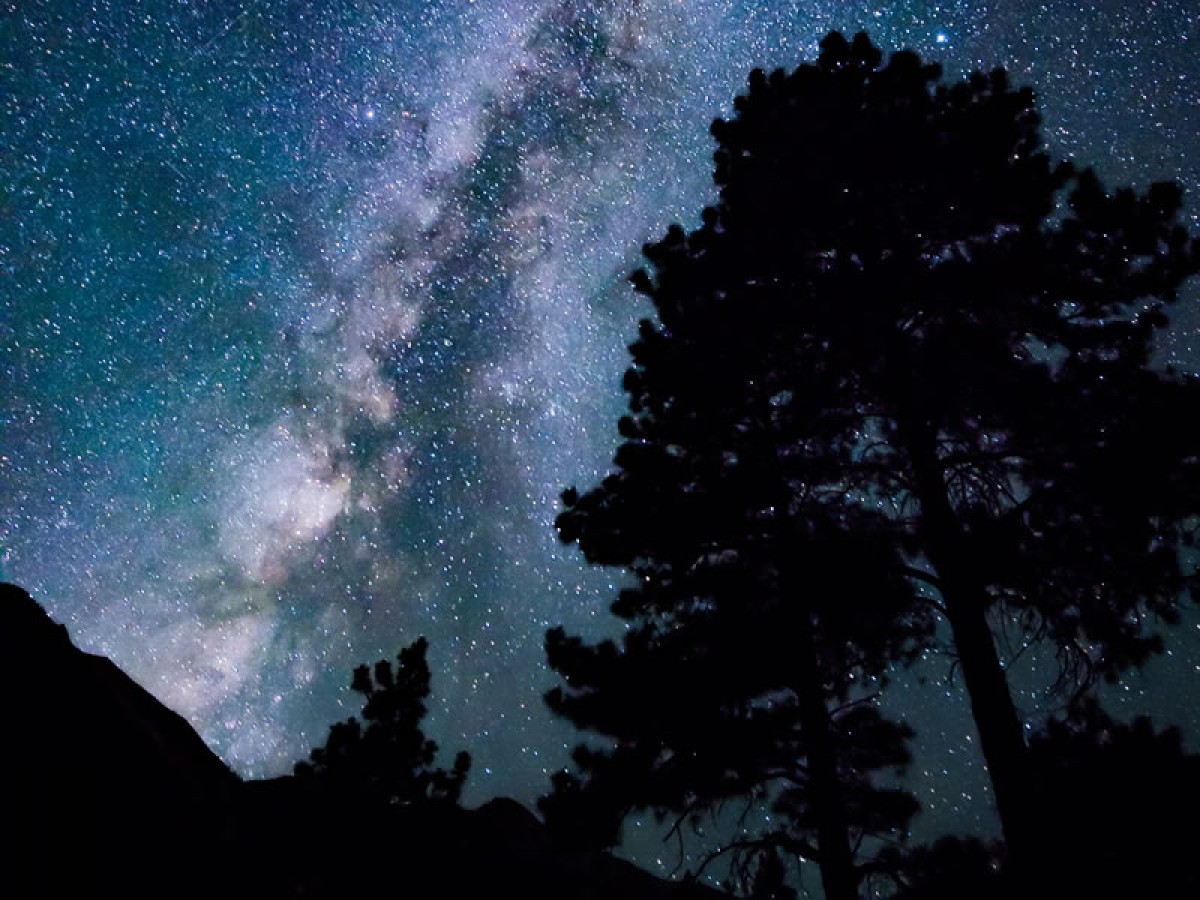 Imatge il·lustrativa