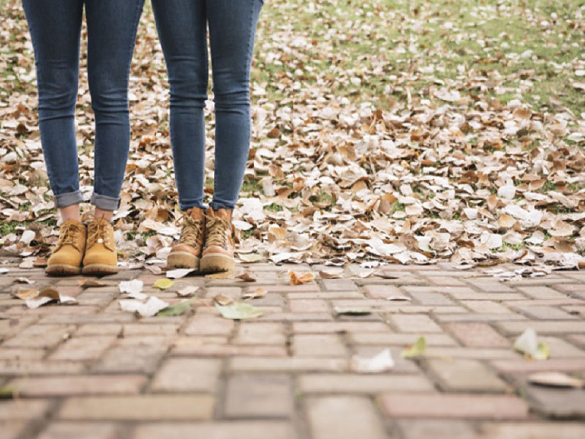 Imatge il·lustrativa