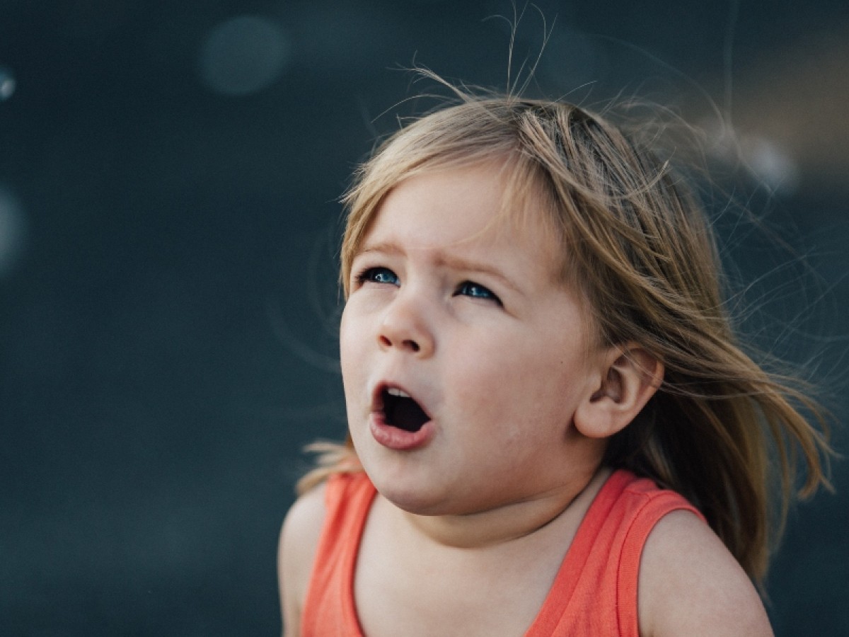 Imatge il·lustrativa