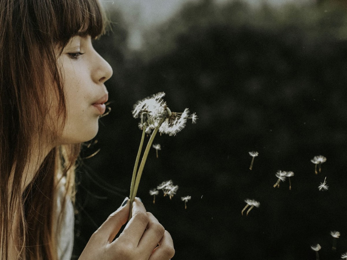 Imatge il·lustrativa