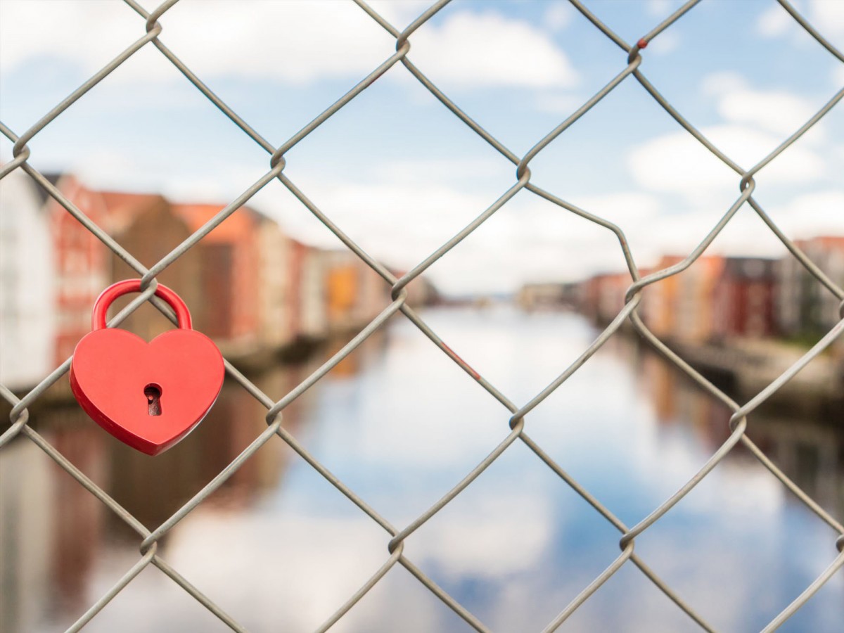 Imatge il·lustrativa